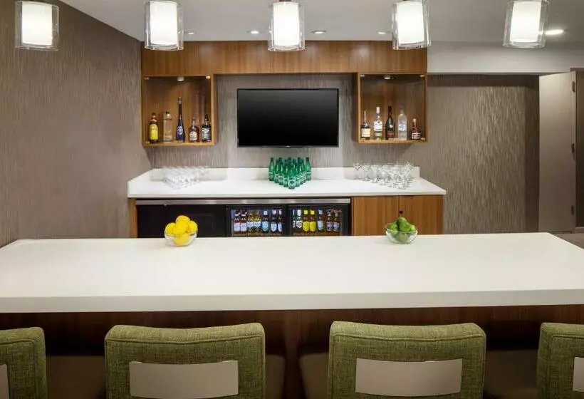 Hotelli Springhill Suites By Marriott New York Jfk Airport/jamaica