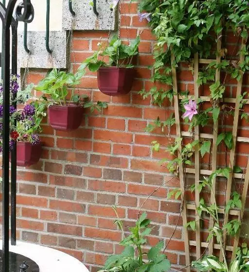 تختخواب و صبحانه Terre D'espérance