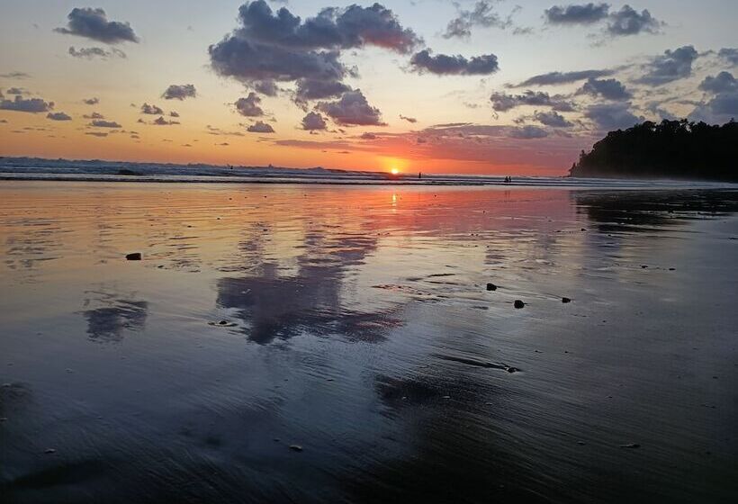 Flutterby House   Hostel