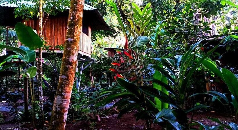 Flutterby House   Hostel