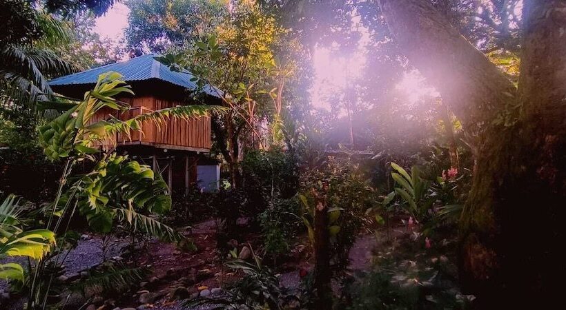 Flutterby House   Hostel