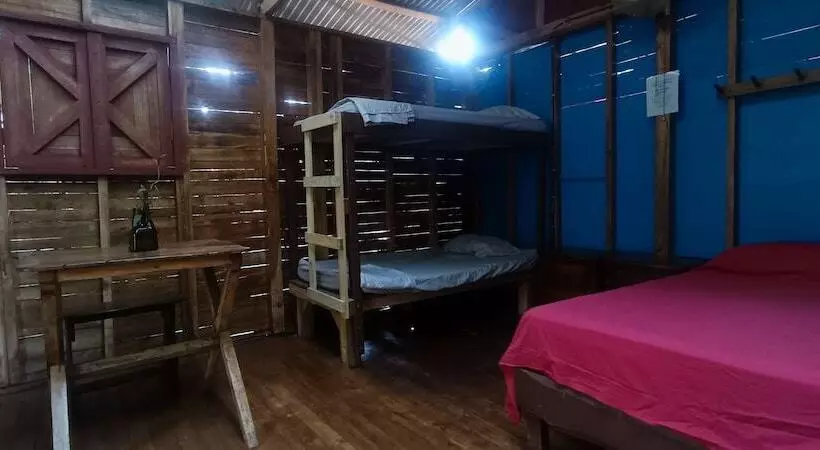 Flutterby House   Hostel