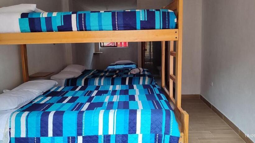 Hostel Mindoxtrem Birds
