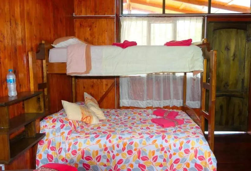 ユースホステル Mindoxtrem Birds