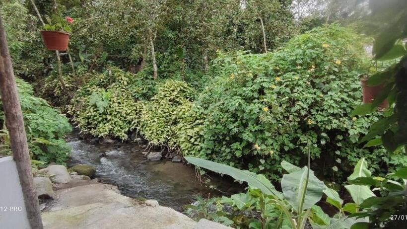 Hostel Mindoxtrem Birds