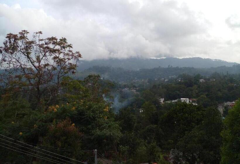 Pension Mountain View Villa