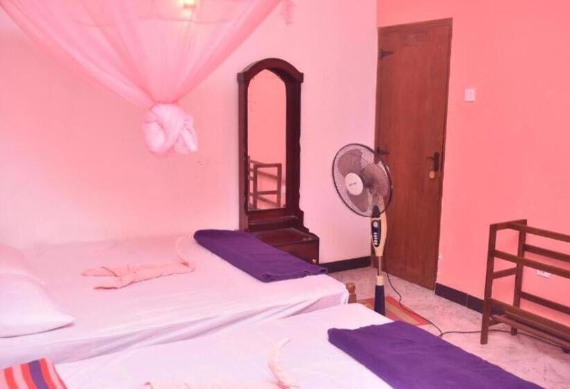 Pension Mountain View Villa