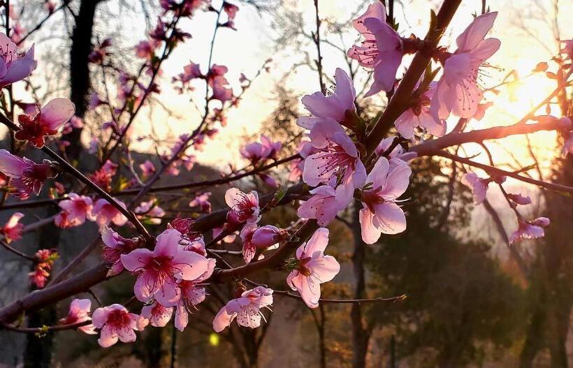 민박 La Volpaia 1521