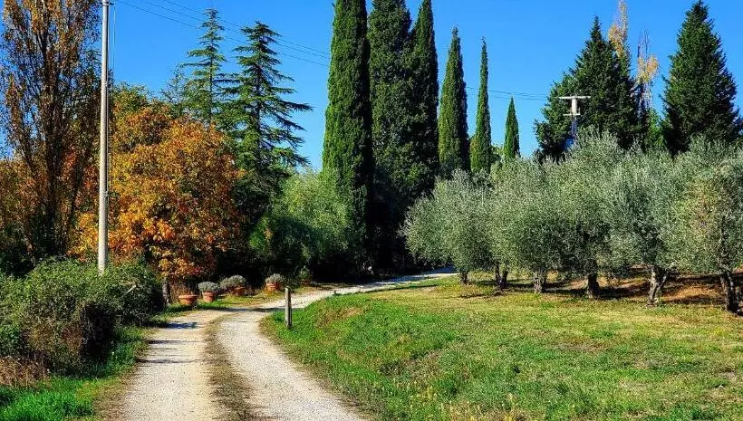 تختخواب و صبحانه La Volpaia 1521