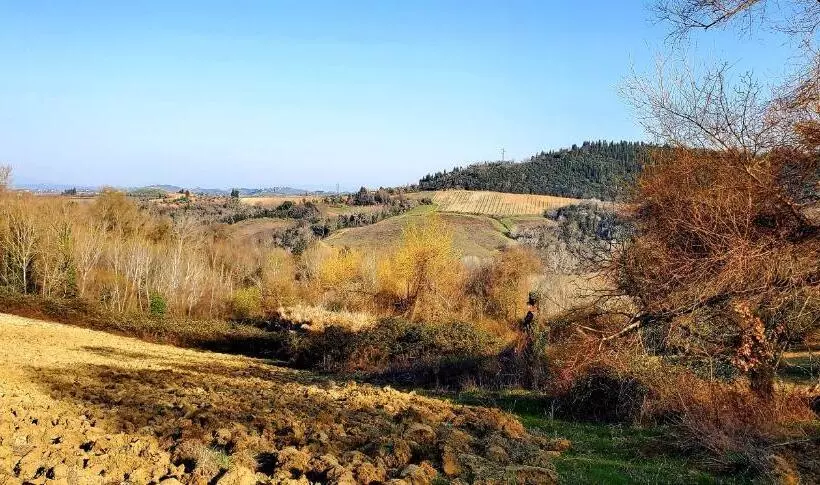 تختخواب و صبحانه La Volpaia 1521