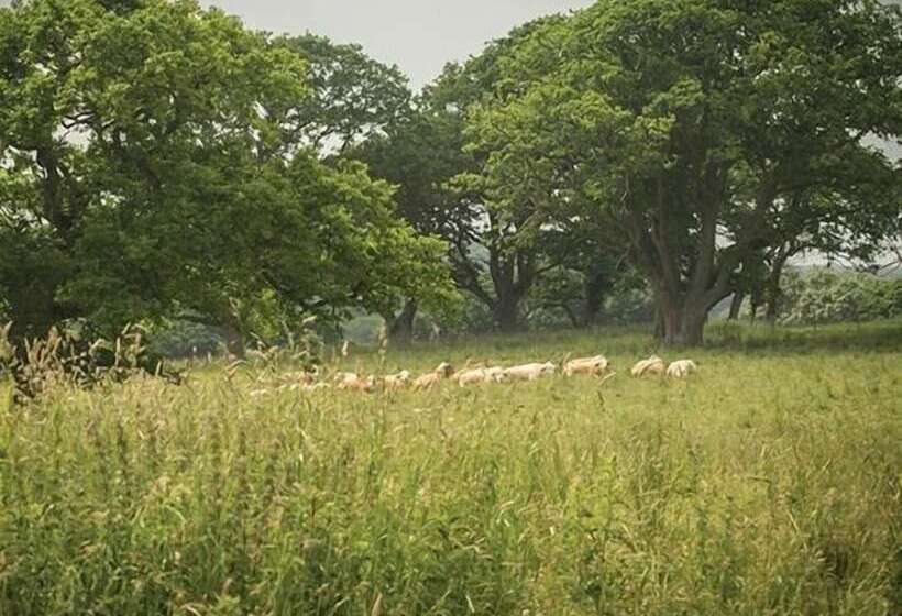 مبيت وإفطار The Walhampton Arms