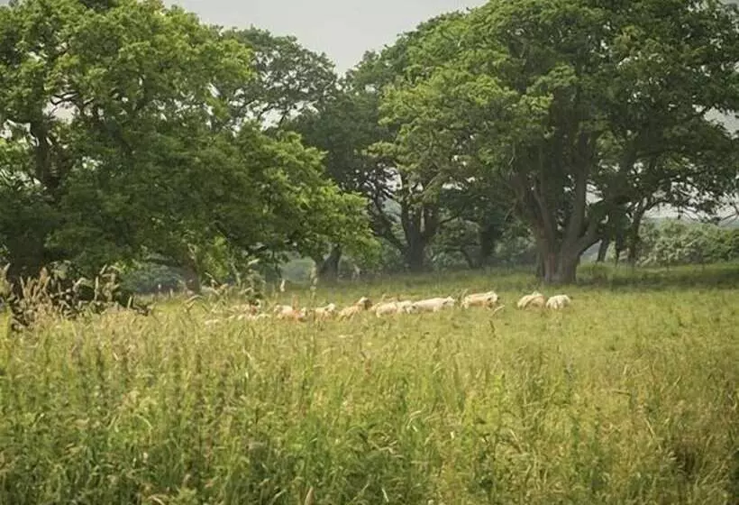 Aamiaismajoitus (B&B) The Walhampton Arms