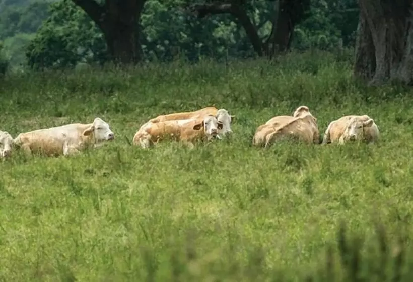 Aamiaismajoitus (B&B) The Walhampton Arms