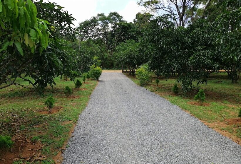 بنسيون Abawaththa Guest House