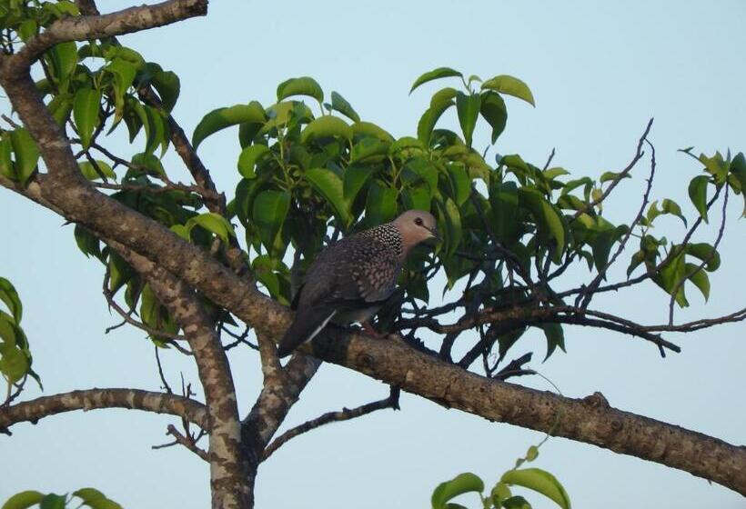 Pensionat Nature Beach Huts