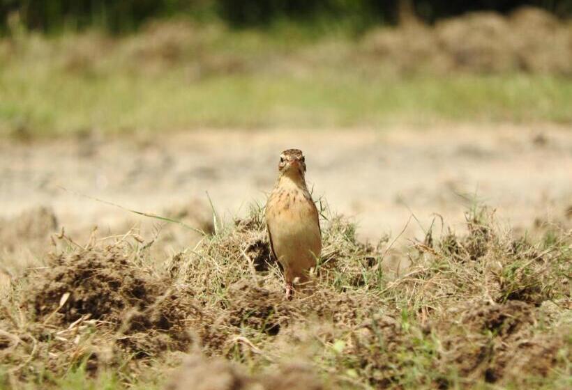 Pensionat Nature Beach Huts