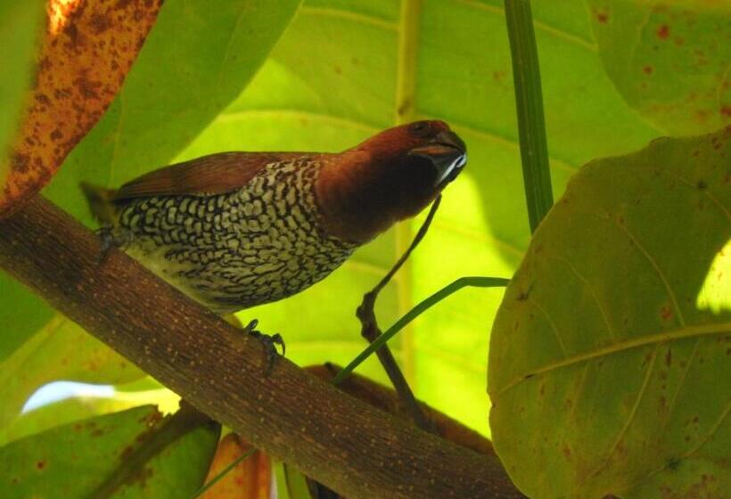 Pensionat Nature Beach Huts