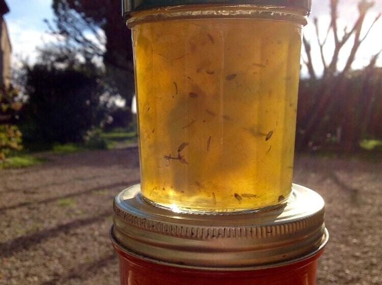 B&b Le Mas De La Soie