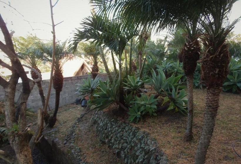 مبيت وإفطار Salamandra Room