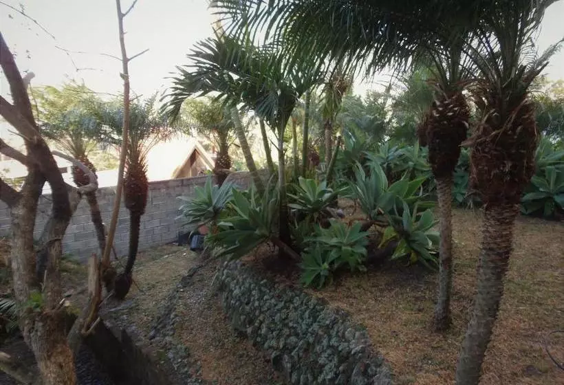 Aamiaismajoitus (B&B) Salamandra Room