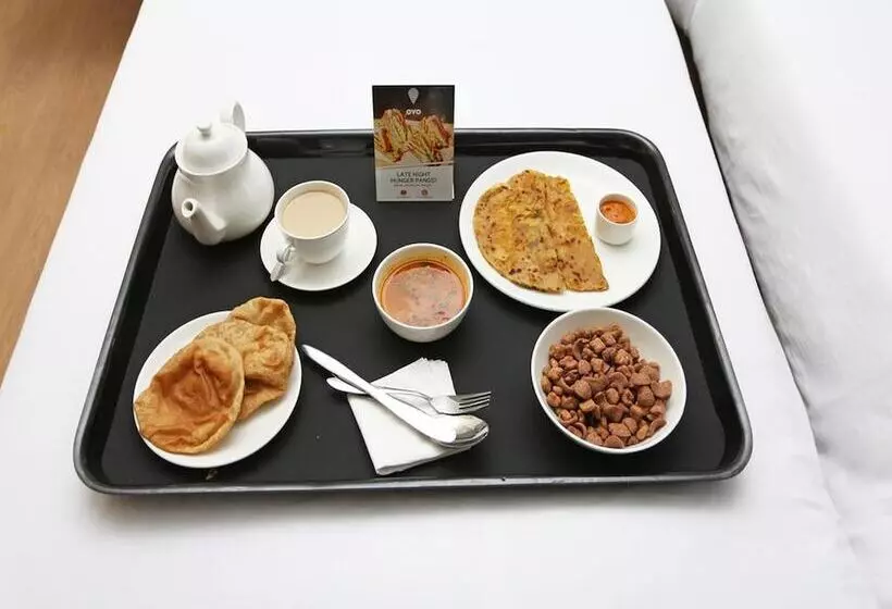 Oyo 26659 Hotel Parmanand Garden