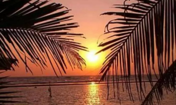 ペンション Coral Reef Guest