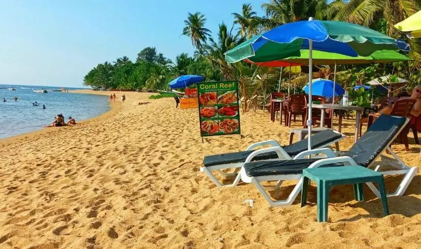 ペンション Coral Reef Guest