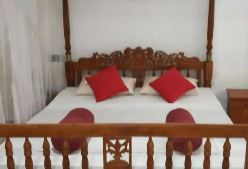 ペンション Coral Reef Guest