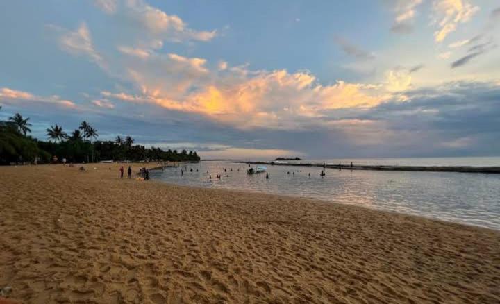 膳宿费 Coral Reef Guest