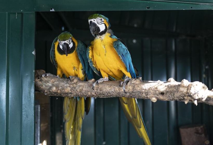 住宿加早餐 Terre De Reve