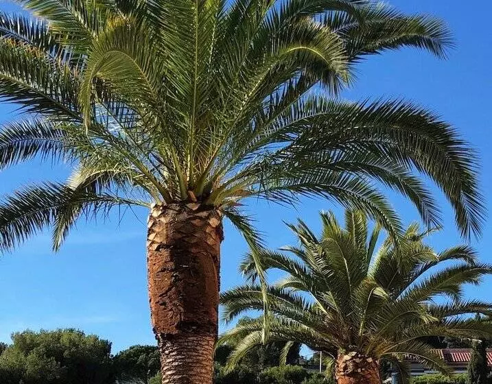 Majatalo The Address Cassis