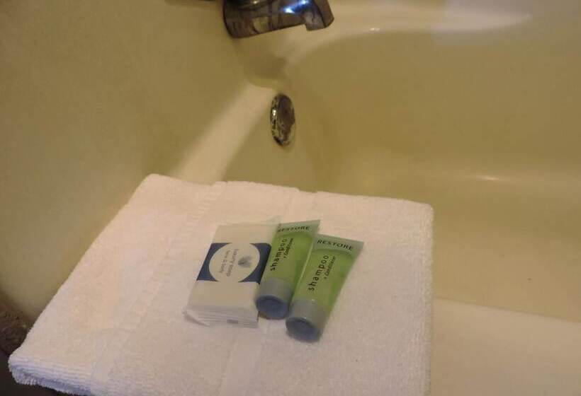 فندق على الطريق Riata Inn  Marfa