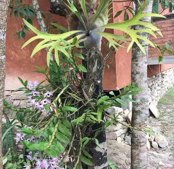 Pensionat Pousada Buieié