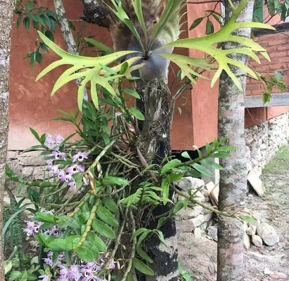 ペンション Pousada Buieié