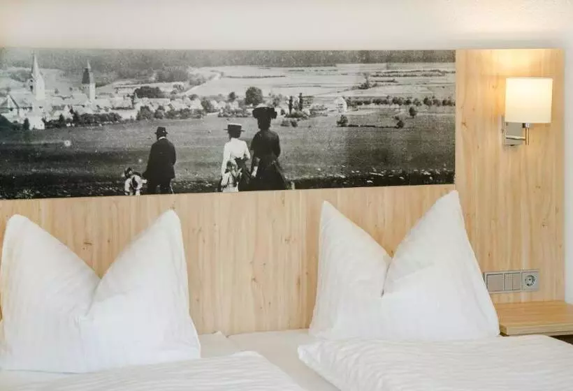 Hotelli Gasthof Blaue Traube E.k