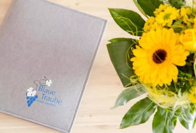 Hotelli Gasthof Blaue Traube E.k