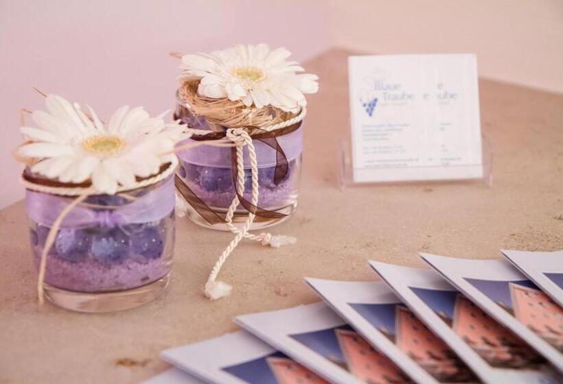 Hotel Gasthof Blaue Traube E.k