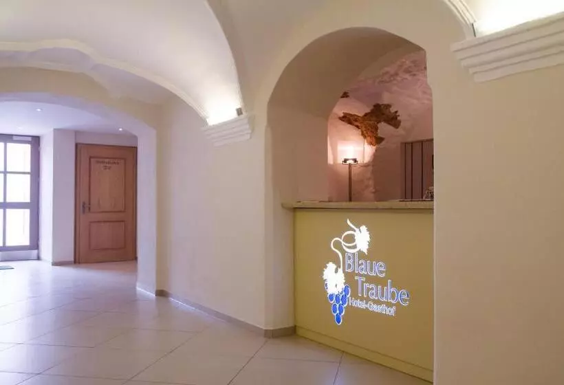 Hotelli Gasthof Blaue Traube E.k