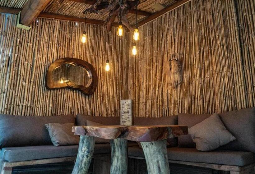 膳宿费 Bikini Beach House