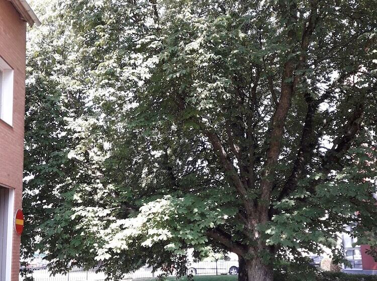 מוטל Rum I Centrum