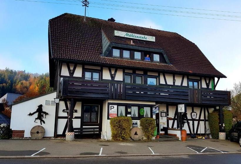 Pansiyon Gasthaus Mühlenstube