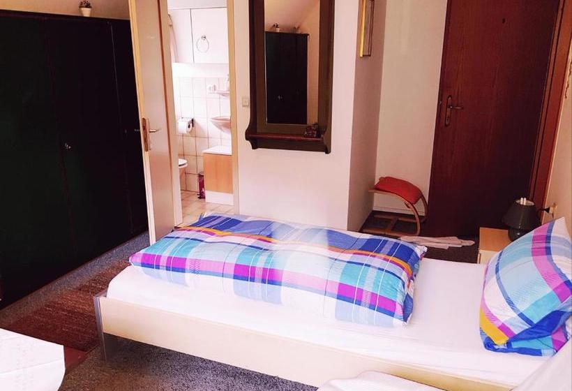 Pansiyon Gasthaus Mühlenstube