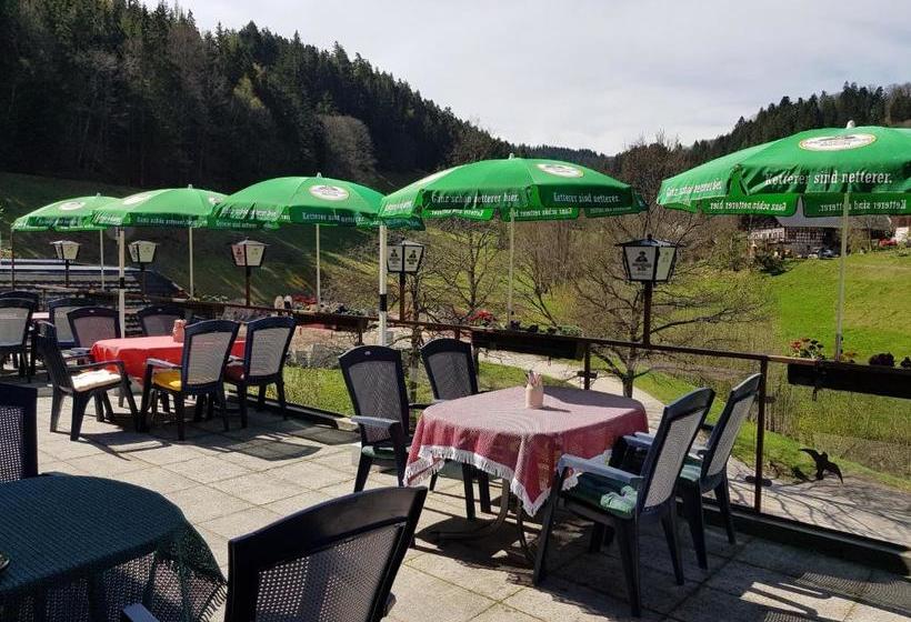 Pansiyon Gasthaus Mühlenstube