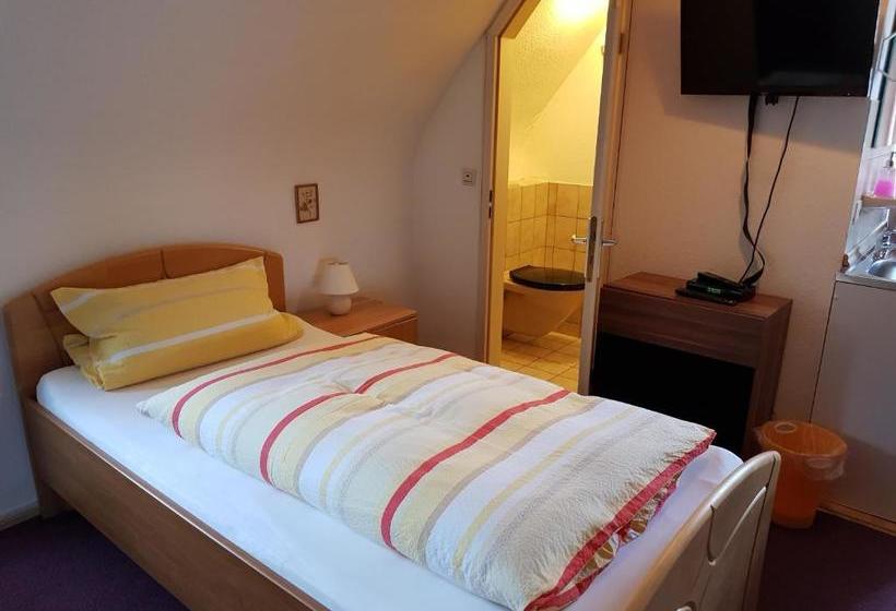 Pansiyon Gasthaus Mühlenstube