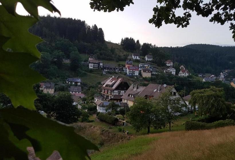 Pansiyon Gasthaus Mühlenstube
