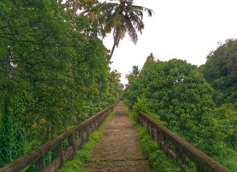 فندق صغير Back Packers Cochin Villa