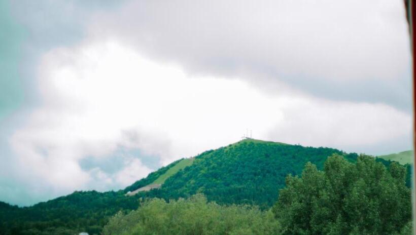 هتل Sapphire Bakuriani