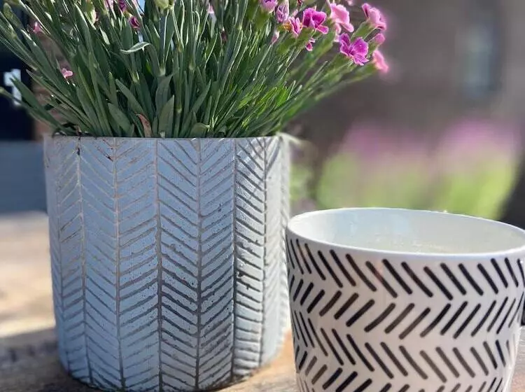 Aamiaismajoitus (B&B) Hostellerie Horst