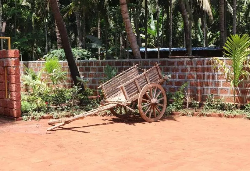 Hôtel Oasis Resort