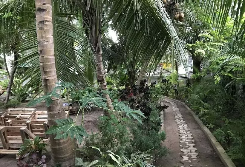 ペンション Lala Land Guest House And Camping Site